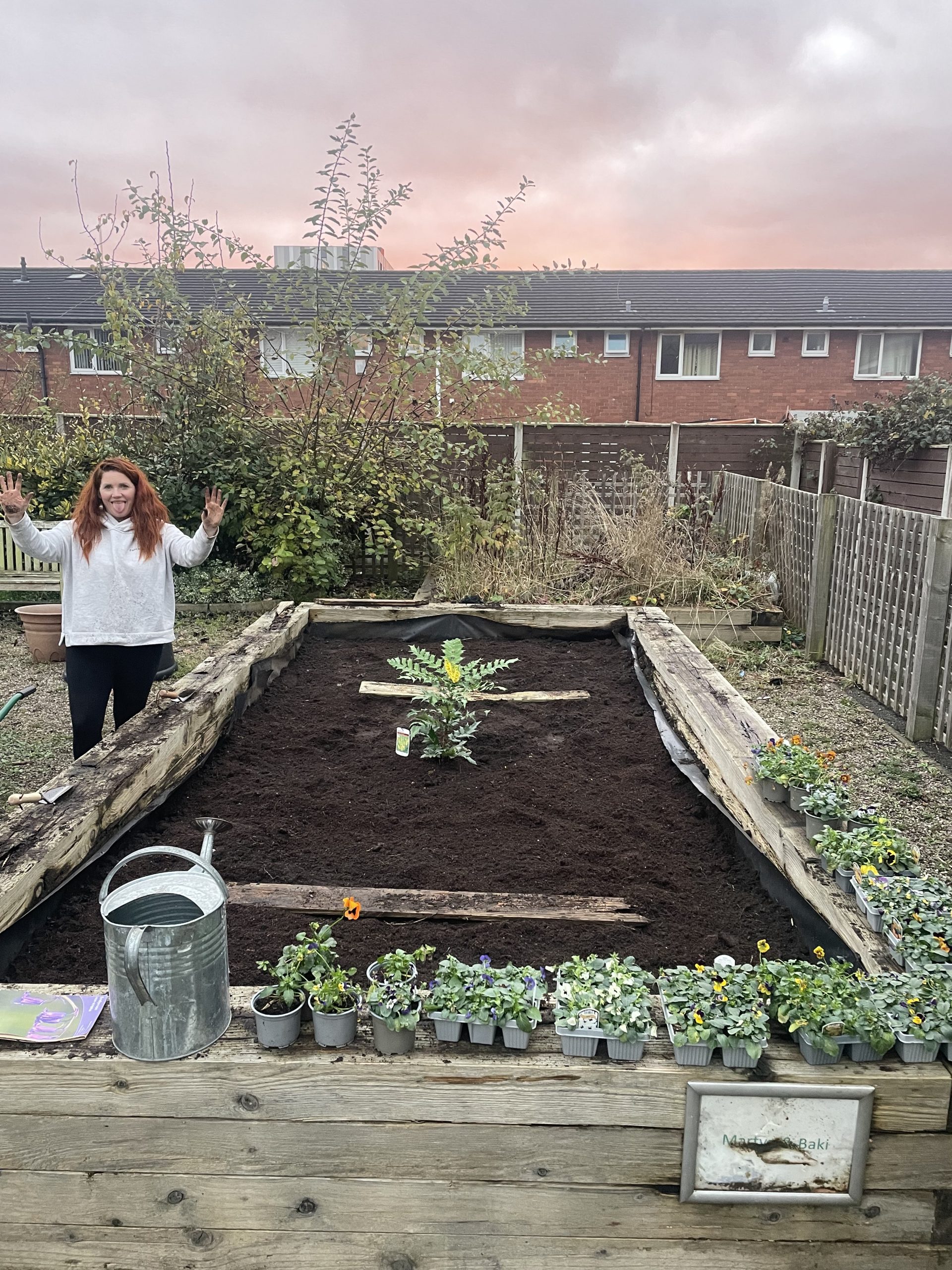 Read more about the article Growing Together at Chippenham Community Garden